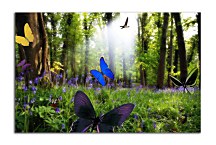 Obraz Flying Butterflies zs24723